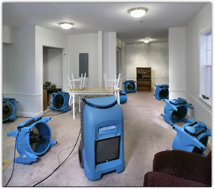 Water Damage Restoration services in Pleasant Grove, AL