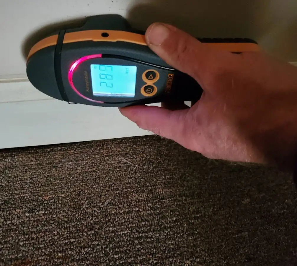 Moisture detection at baseboard during Sewage Cleanup & Sanitation in Pleasant Grove